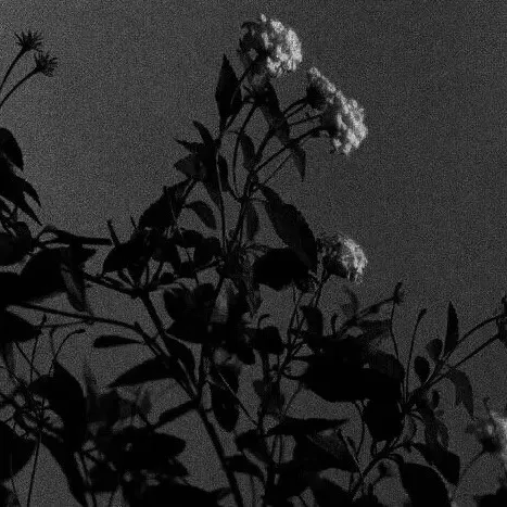 欲望 偏见 世界人情