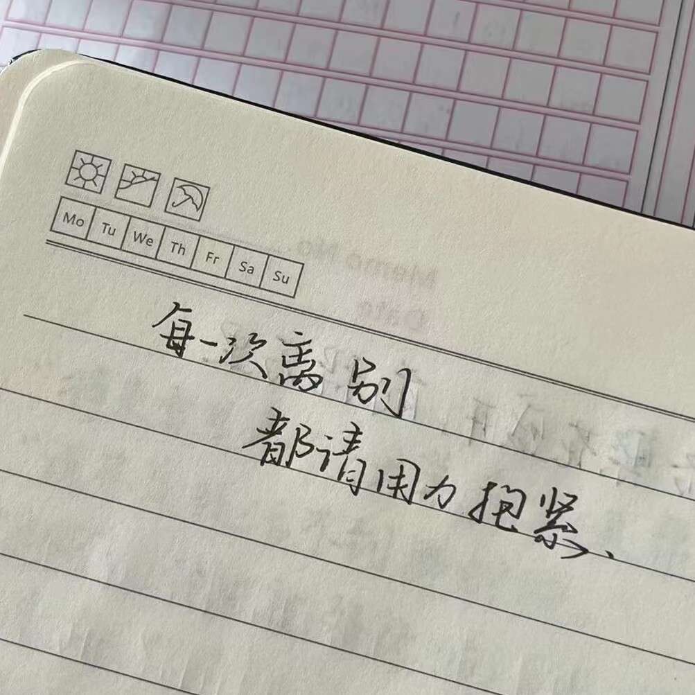 作文里可以用的句子