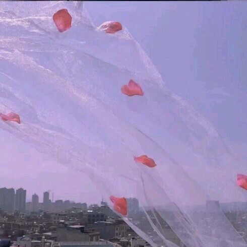 如花美眷，似水流年.