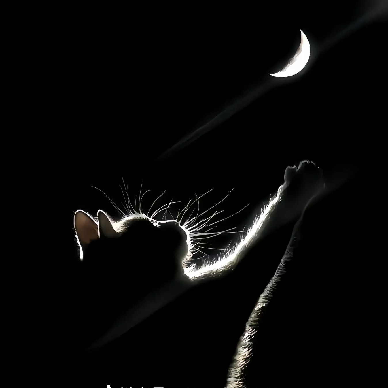 春风十里不如你