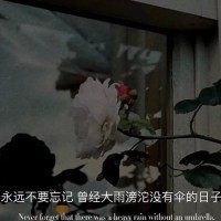 母亲节文案