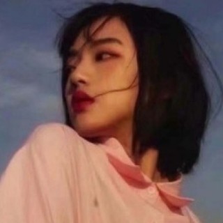 杂伊