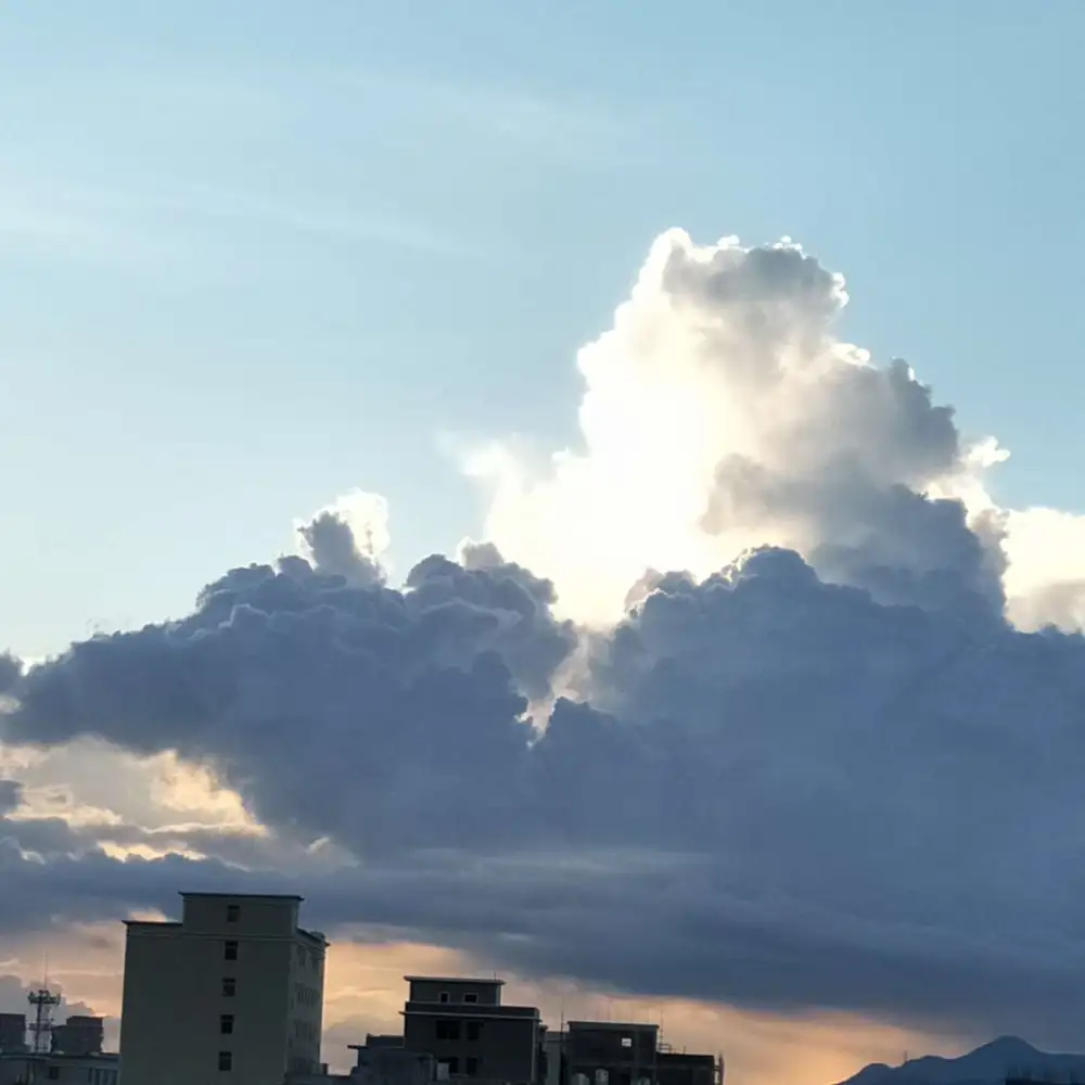 生活
