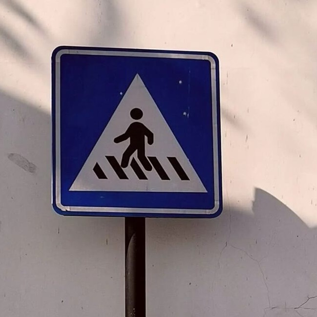 森林迷了路٩(๑^o^๑)۶的专辑