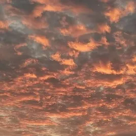 爱不知所依，却至死不渝。