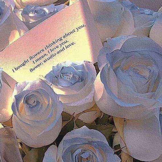 ꒰ঌ清辞໒꒱的专辑