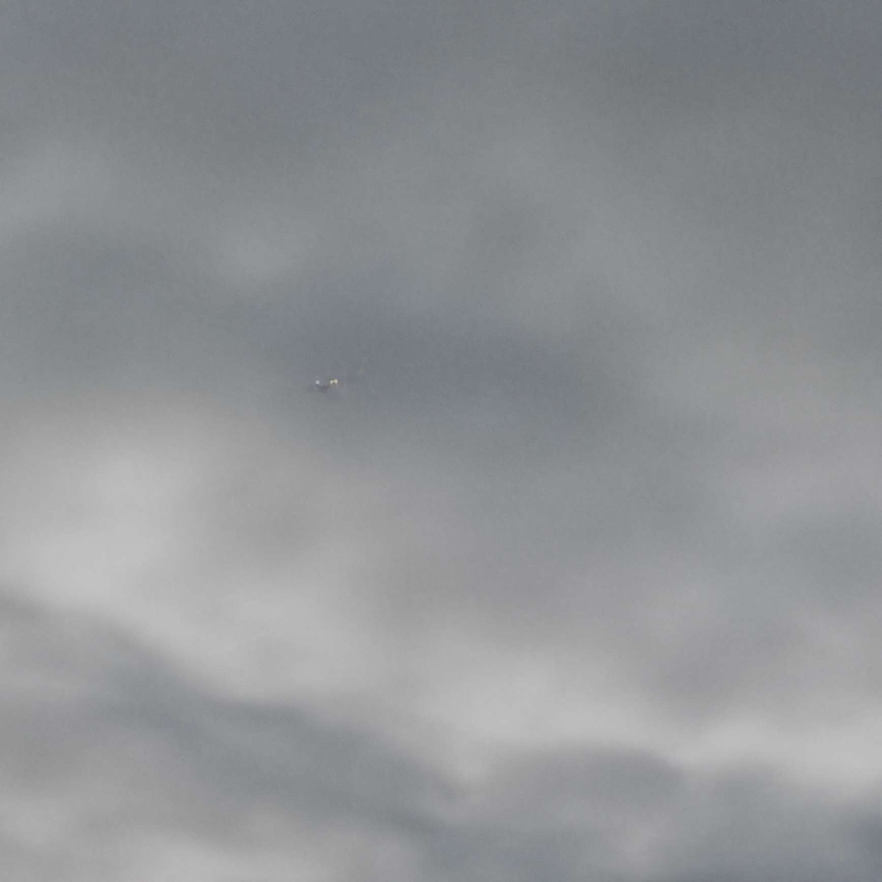 自己的感悟吧...应该