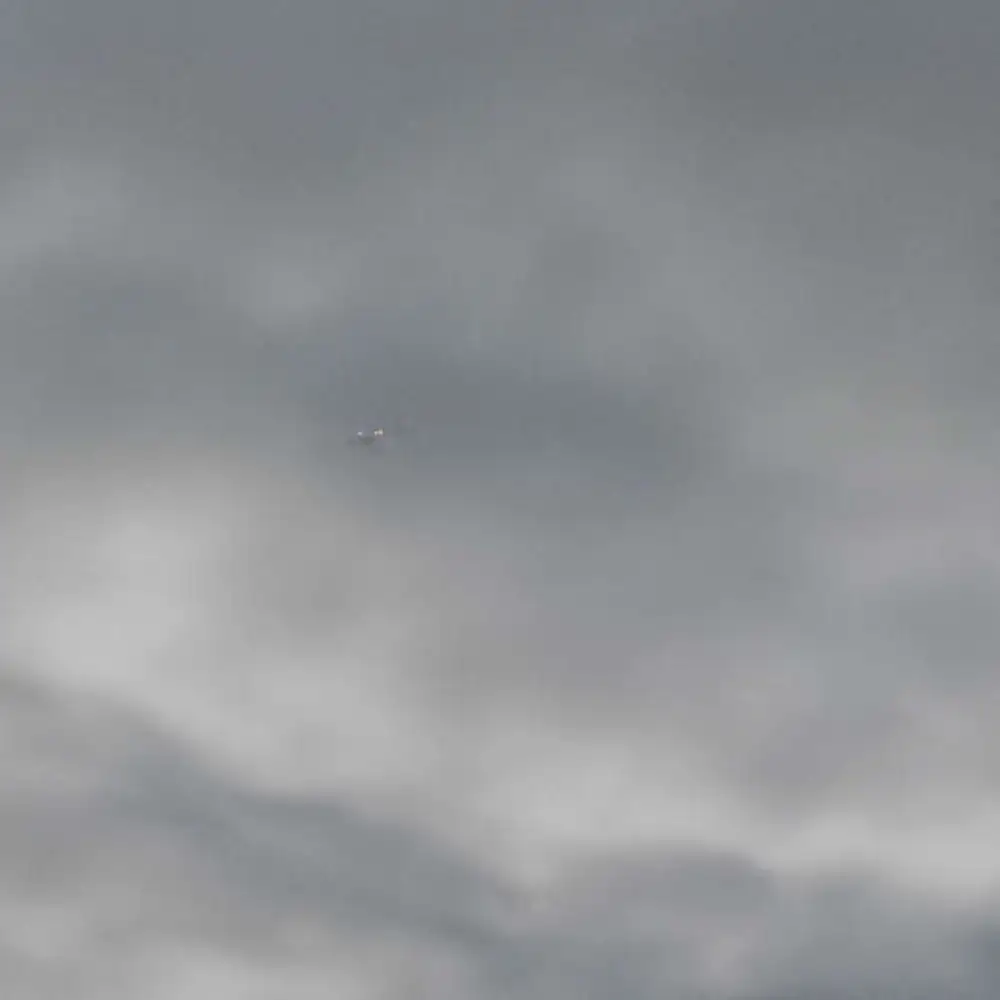 自己的感悟吧...应该