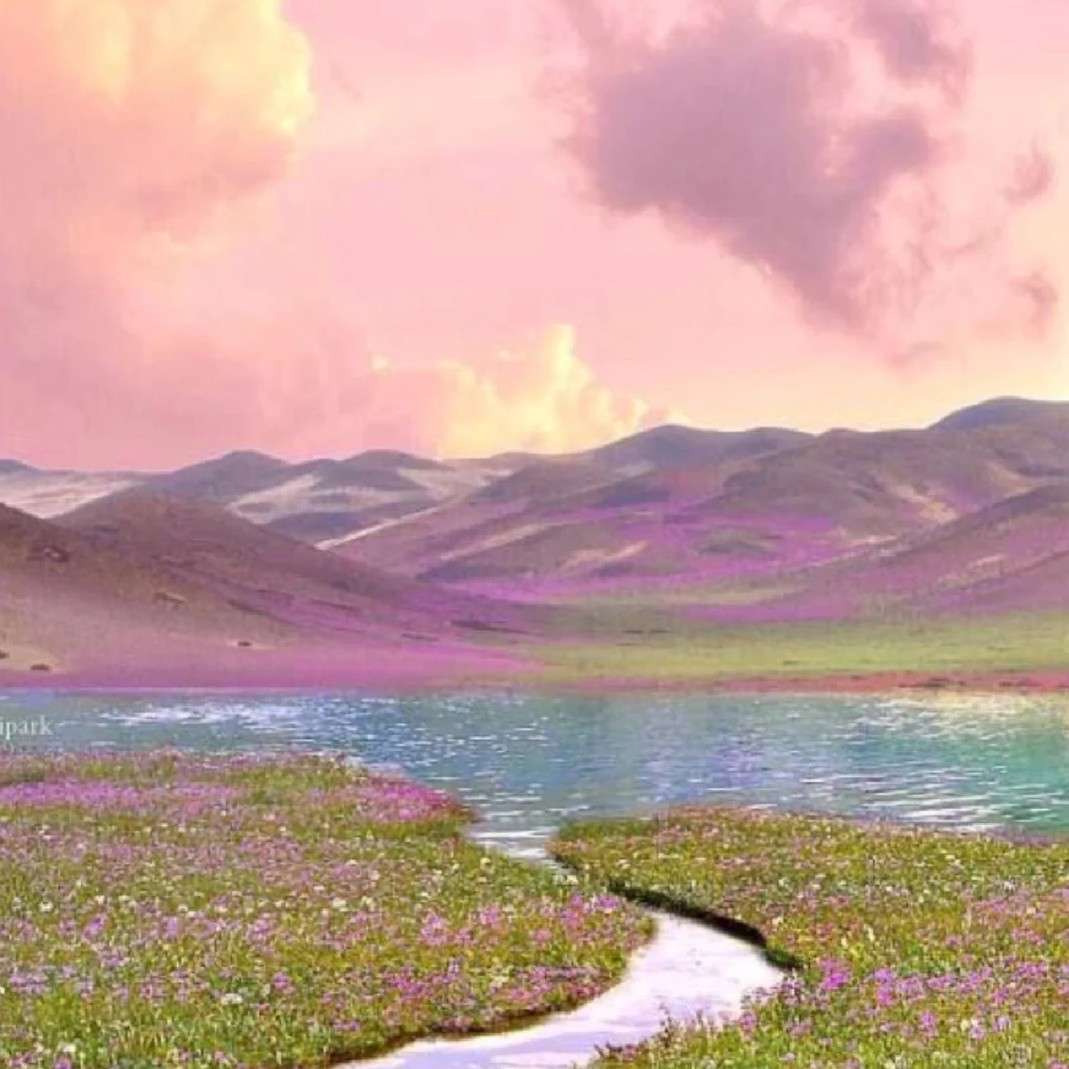 许许如生的专辑