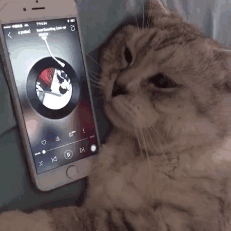 你失眠了嗎的专辑