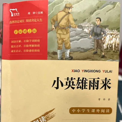 小英雄雨来