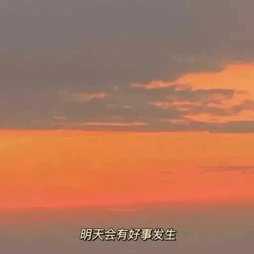 《温柔且治愈》