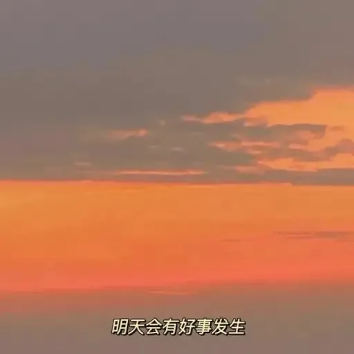 《温柔且治愈》