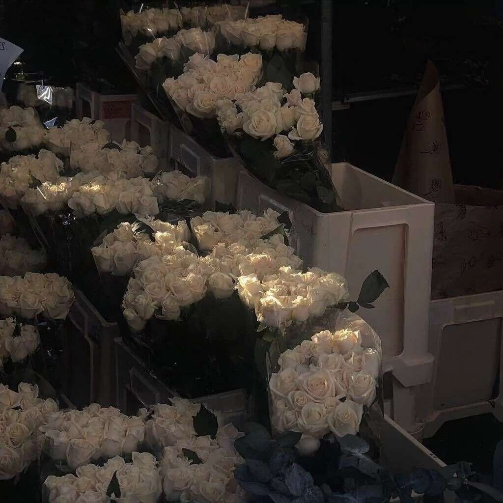 還會愛我嘛_🥀的专辑