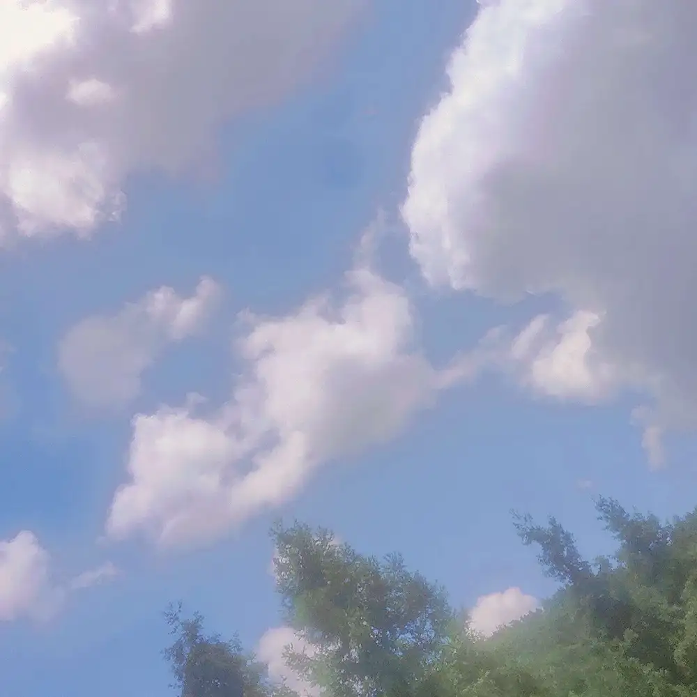 揽星河入梦的专辑