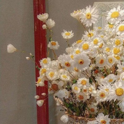 酒糖姑娘的专辑