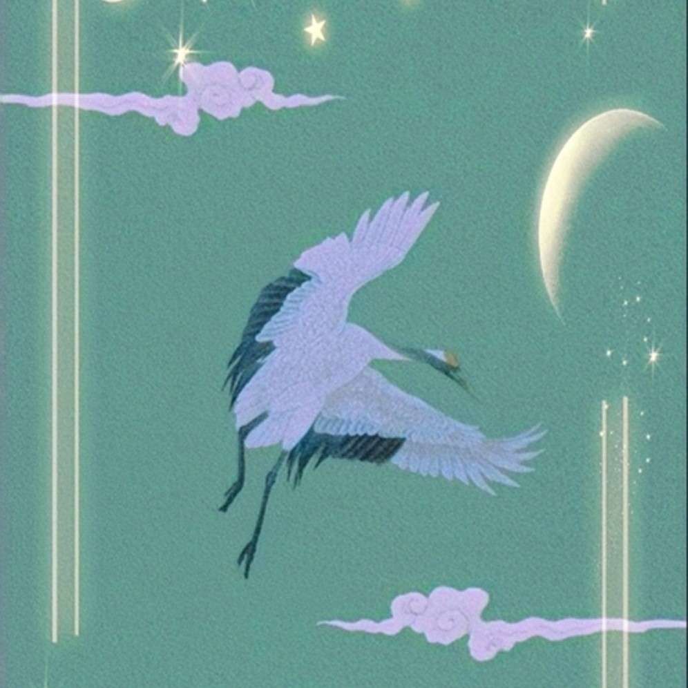 ┏ 喵星人的专辑