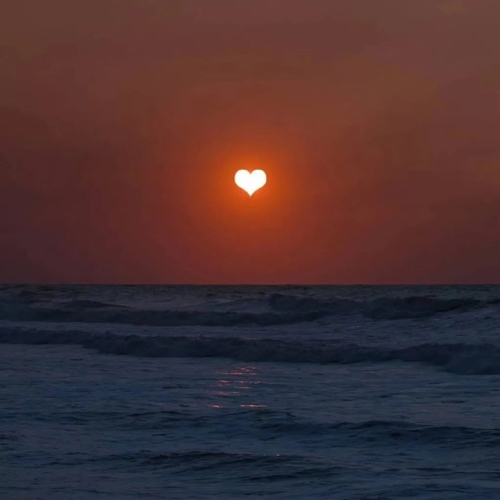 林黛玉发疯文学