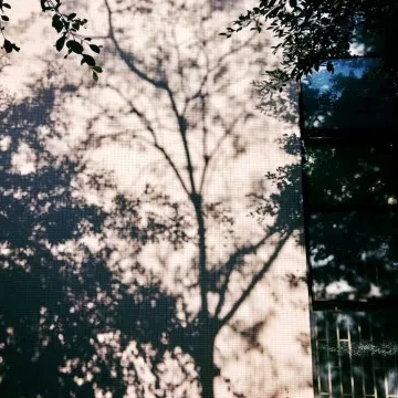 随笔