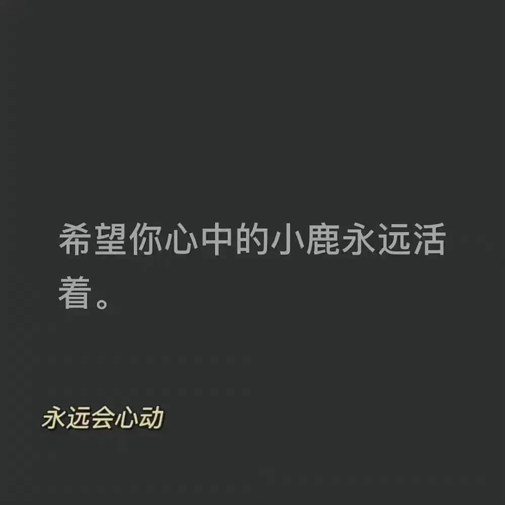 小说名言