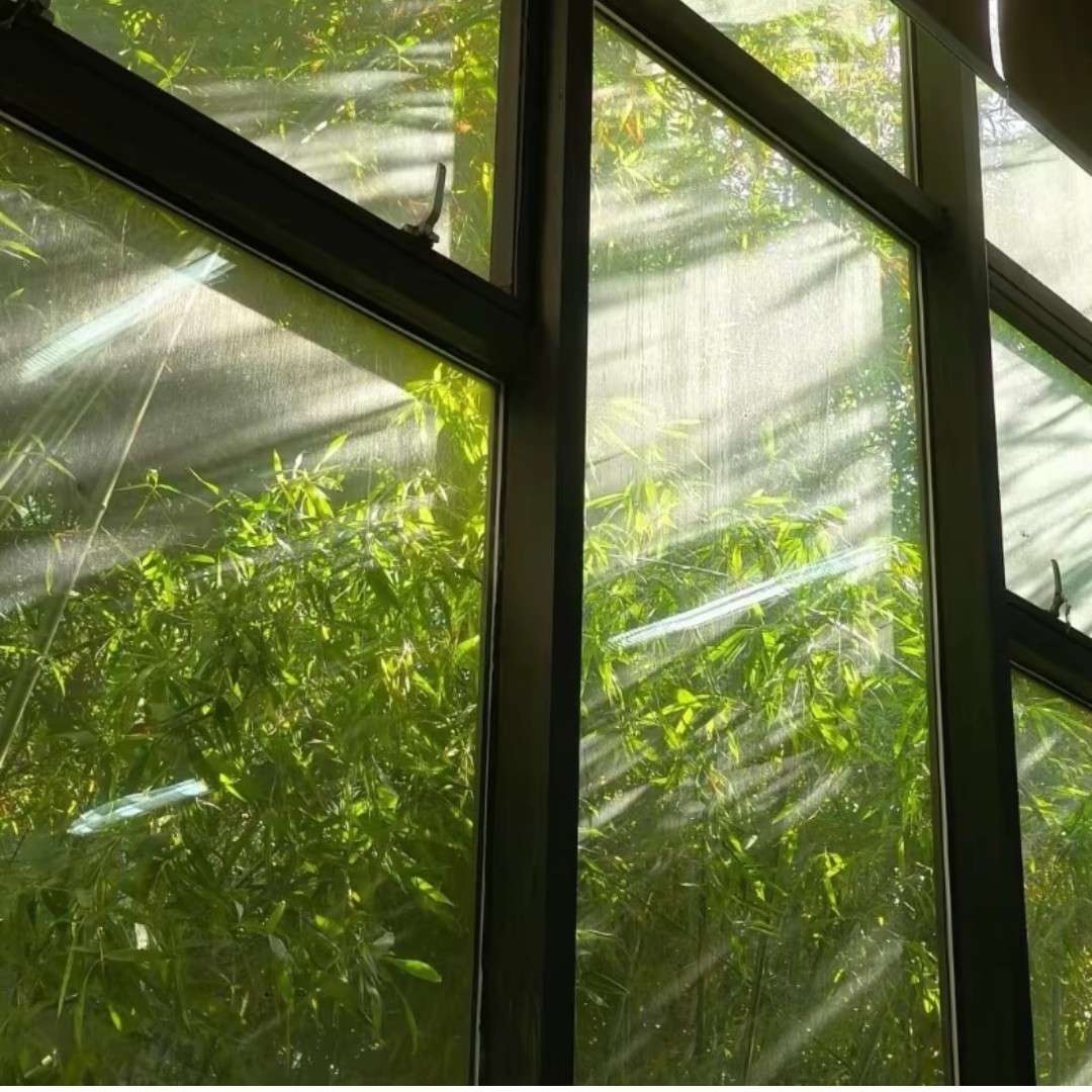 收集迄今为止最最最最最喜欢的文案