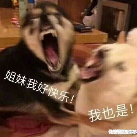 楚的二次方的专辑