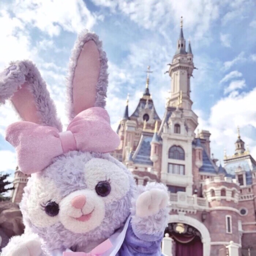 今天也要努力吖！