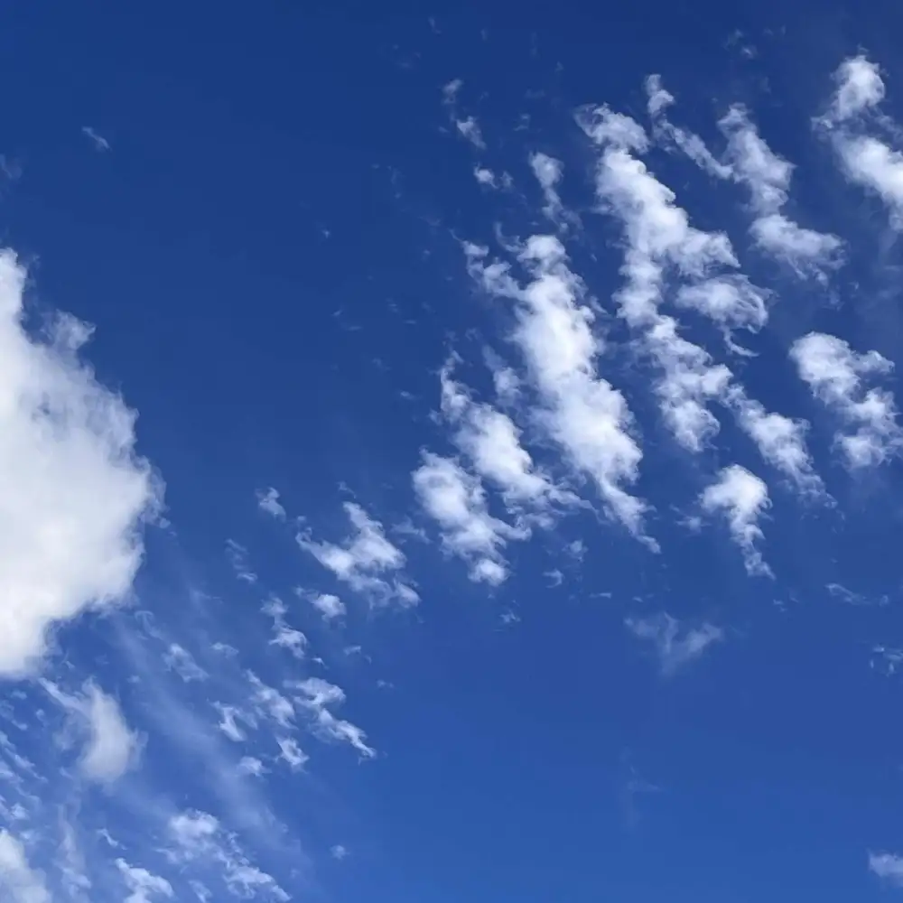 他知道风从哪个方向来