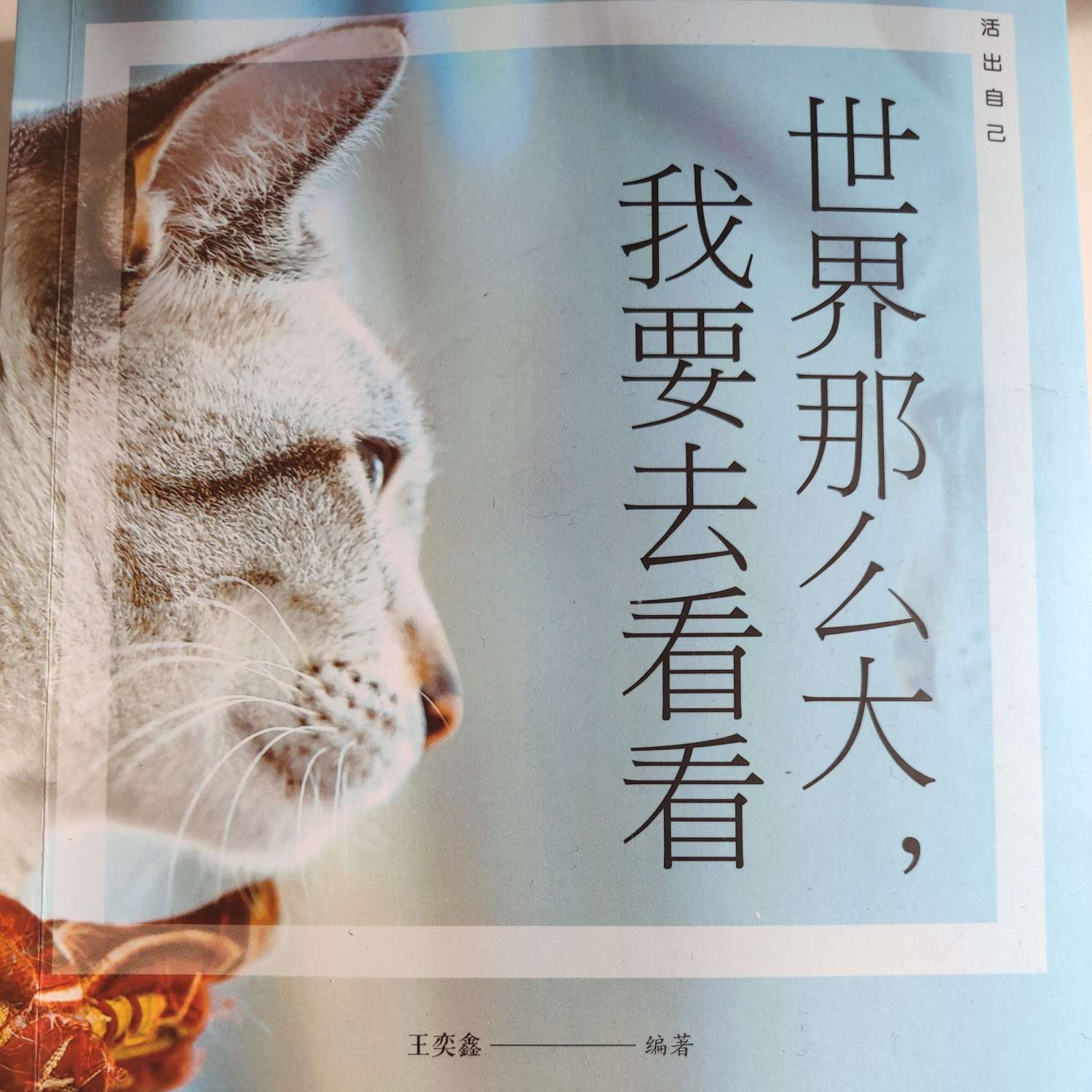 世界那么大我要去看看