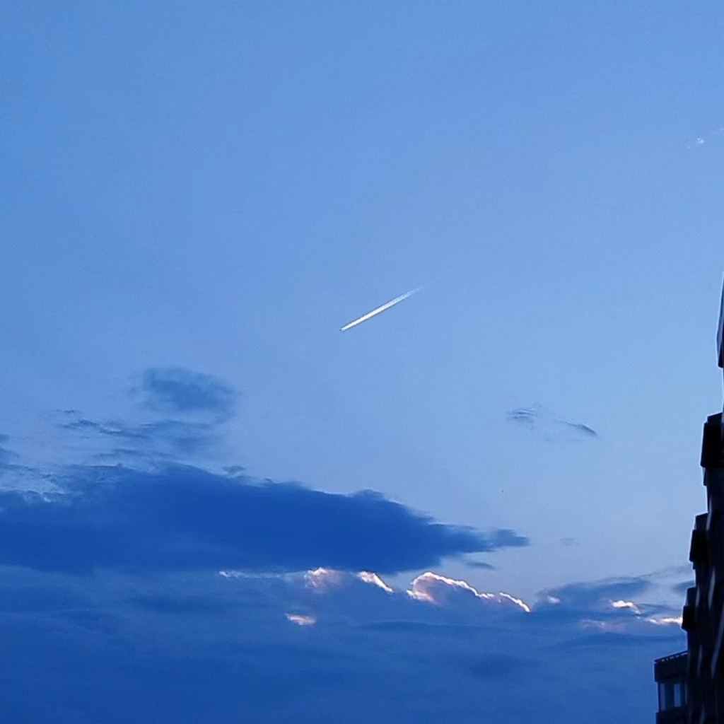 王桢宇啊王桢宇