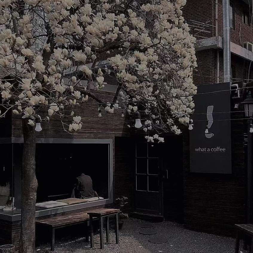 关于古诗词到底有唯美(º﹃º )