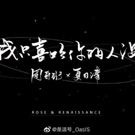 我只喜欢你的人设