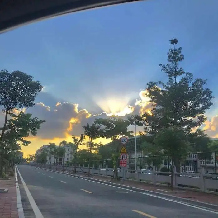 小说
