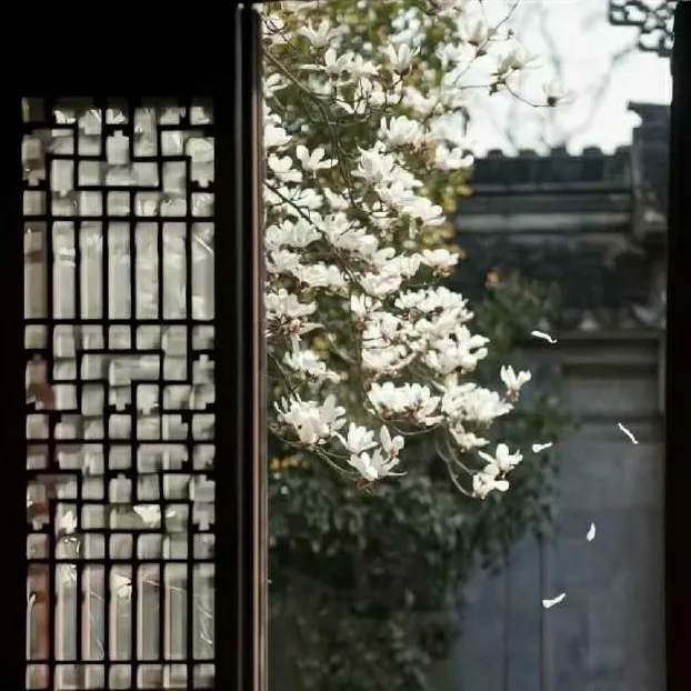 望江南