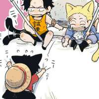 海贼王里你喜欢的句子