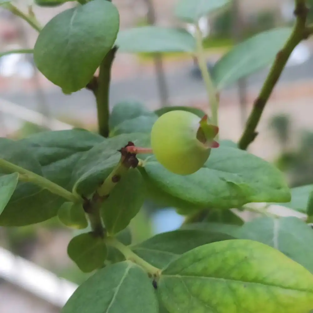 那些触及心灵的语录