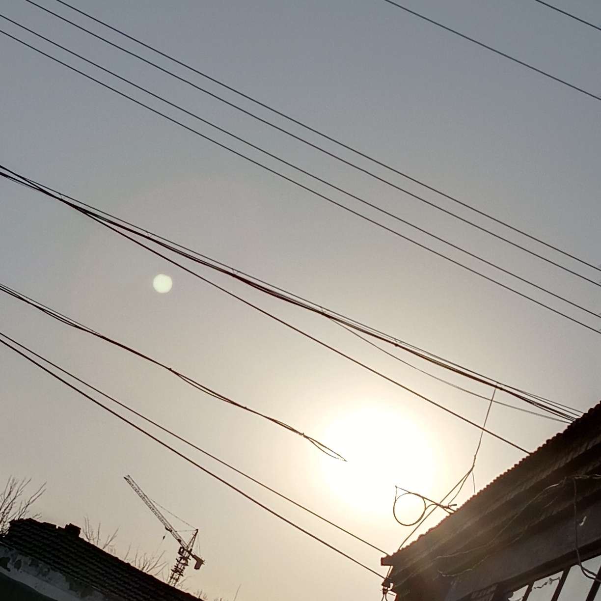 物所观之，理由心生