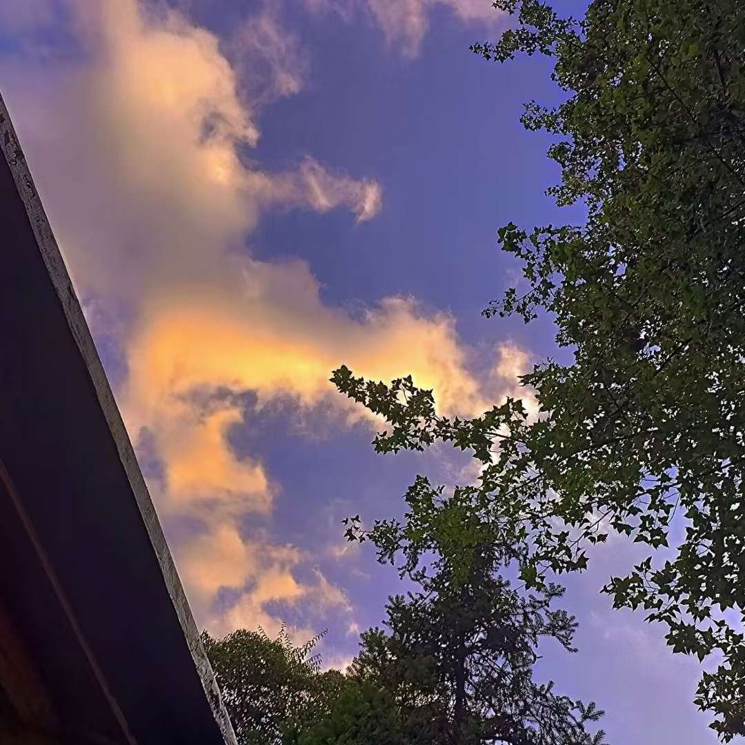 因一句话爱上一首歌