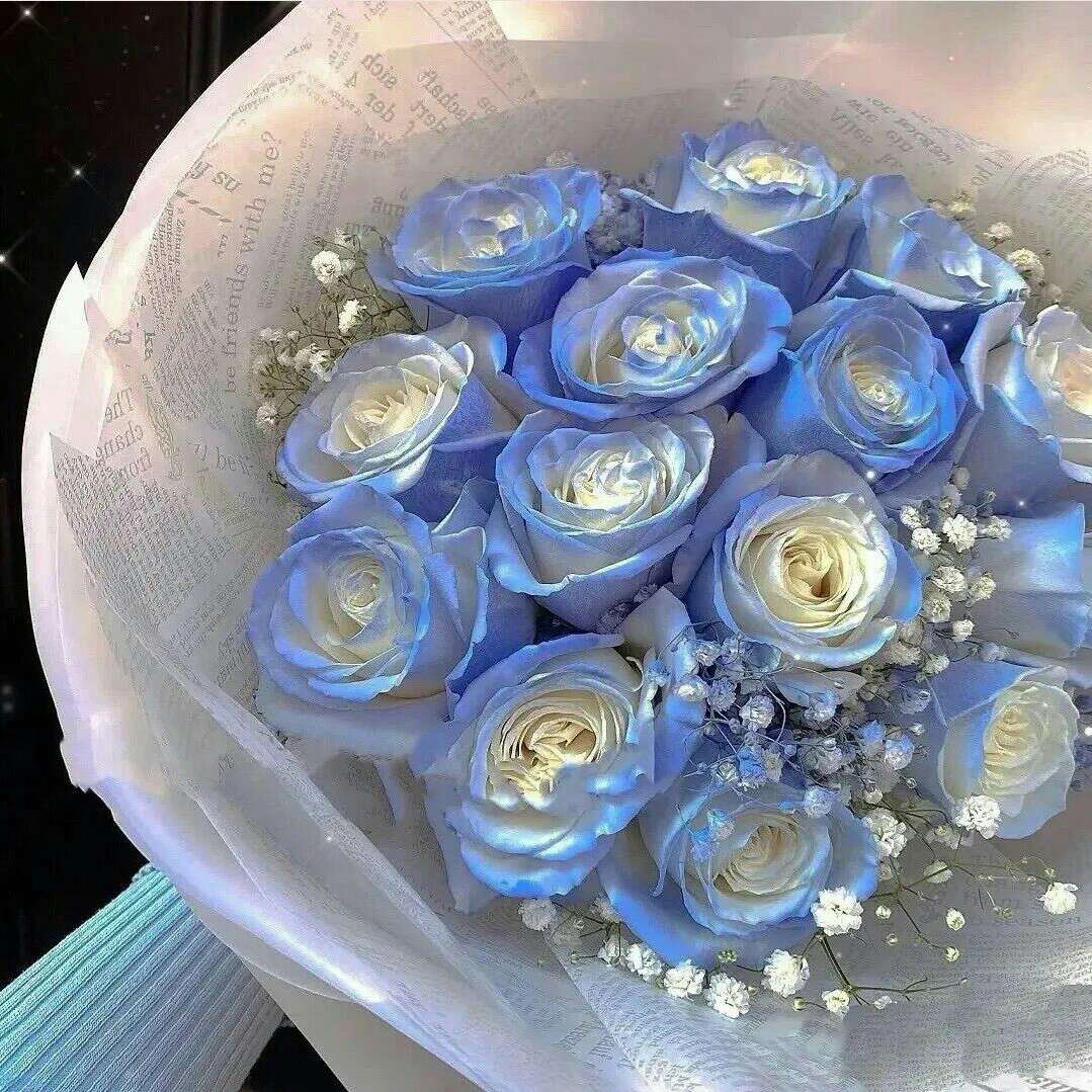 时光不弃又长一岁