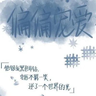 偏偏宠爱文案