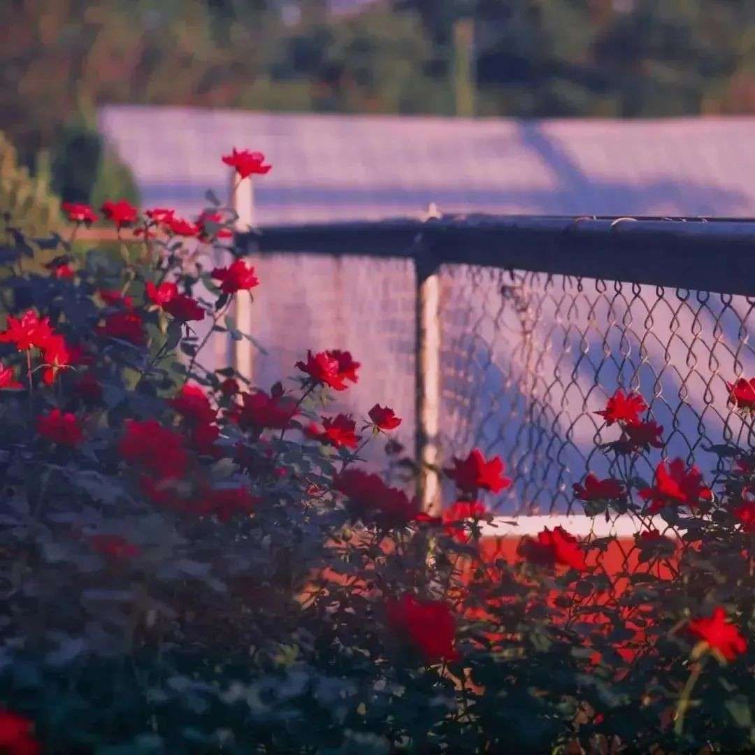 值得深思的文案