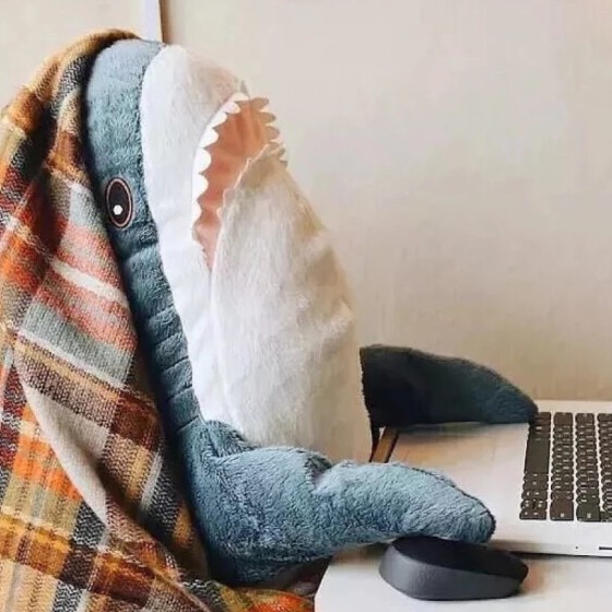 在人间凑数的日子