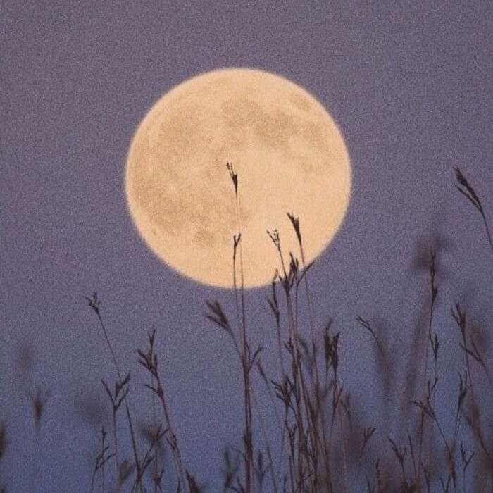 星光不负赶路人.