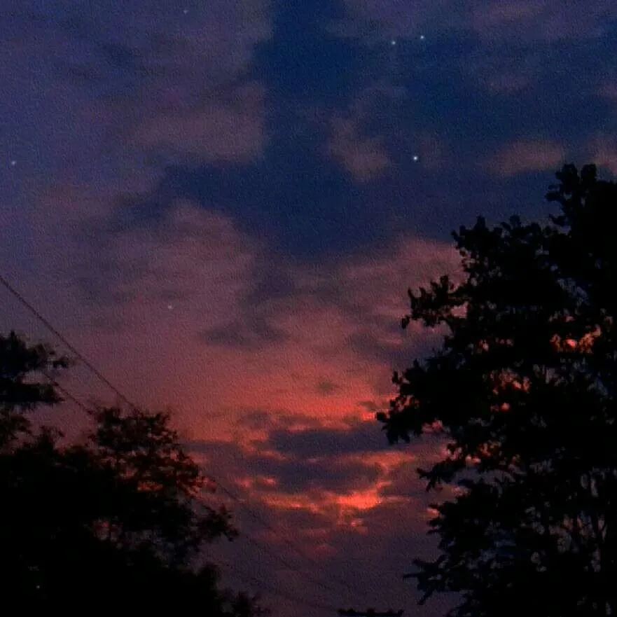 星野.