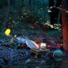 仲夏夜の幻想