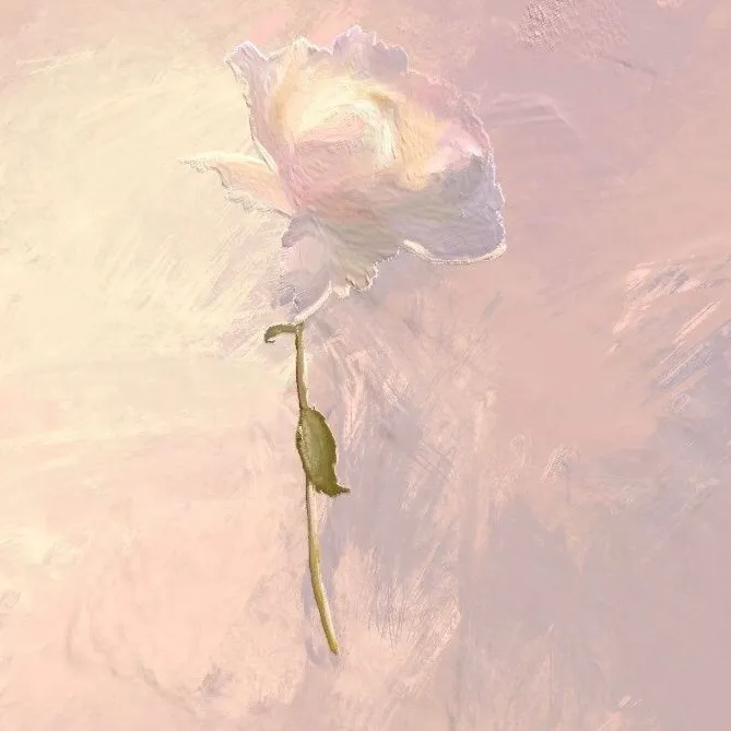 那些浪漫的情话