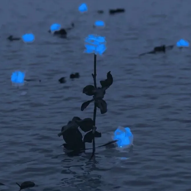 ❤️暗示暗恋的人❤️