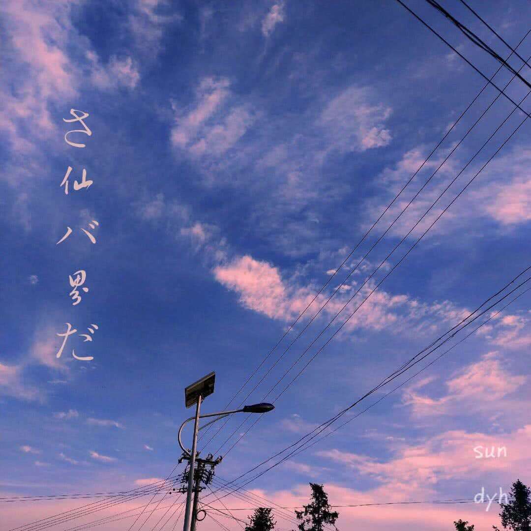 是二狗呀🐶的专辑