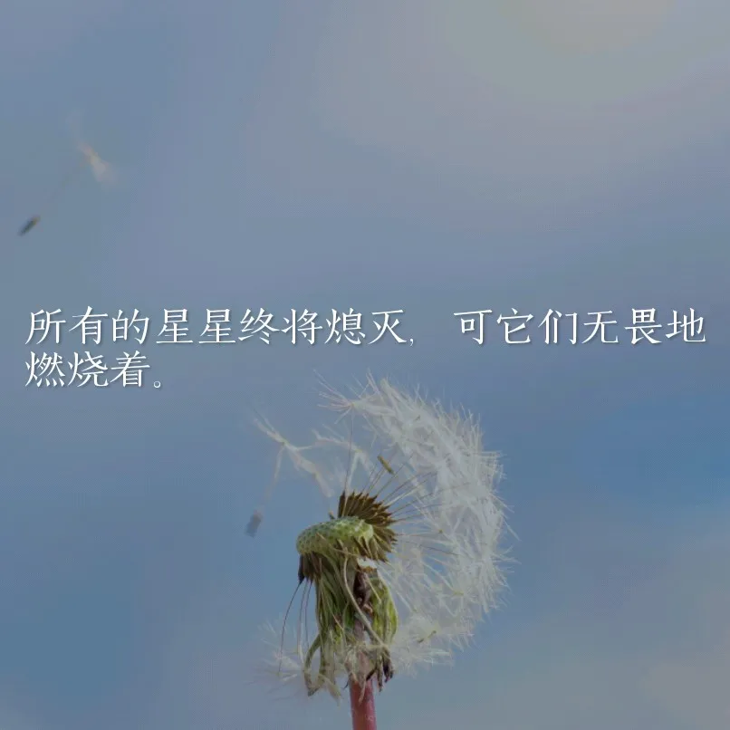 日常文案