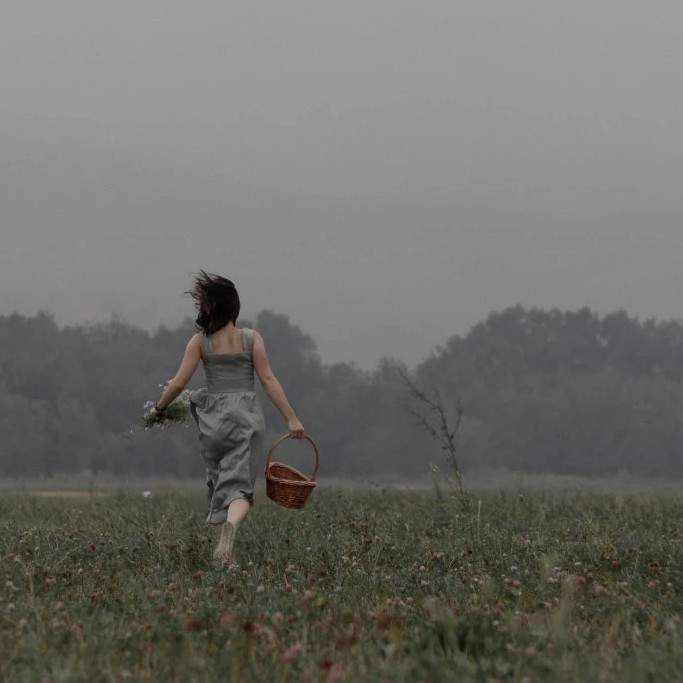 意境绝美古诗词摘录